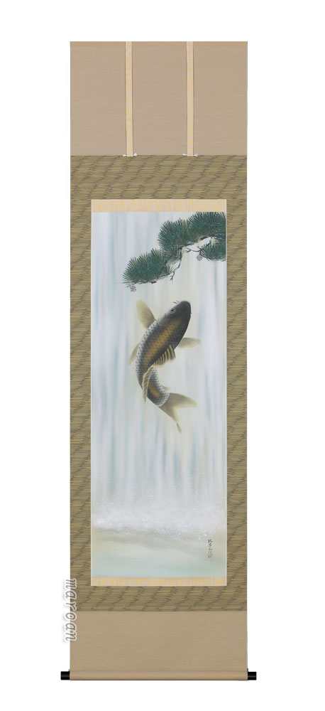 鯉・夫婦鯉 掛軸 滝登鯉（河合 比呂志）