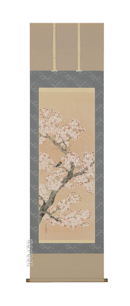 花鳥画 掛軸 桜に小鳥（浅井 新明）