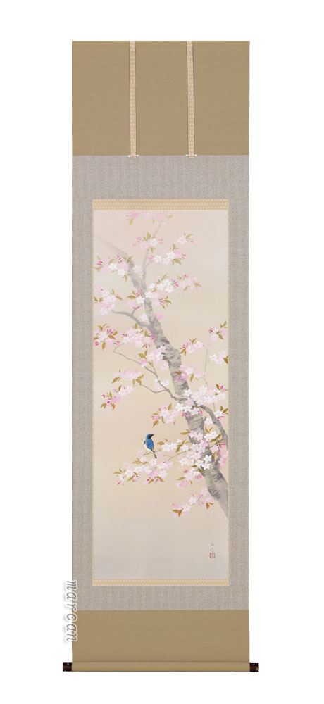 花鳥画 掛軸 桜に小鳥（川島正行）
