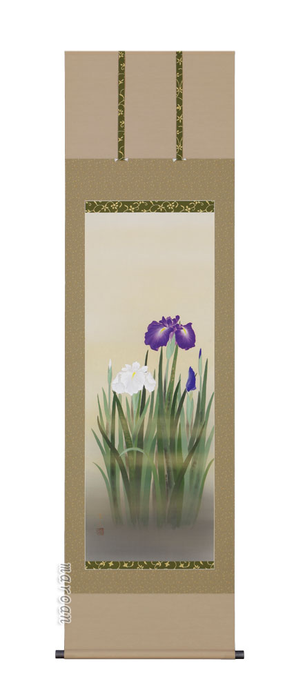 花鳥画 掛軸 菖蒲（堀 高泉）