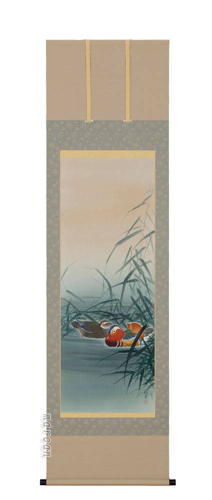 花鳥画 掛軸 鴛鴦（おしどり）（橋本紹真）（太巻桐箱入） 商品画像