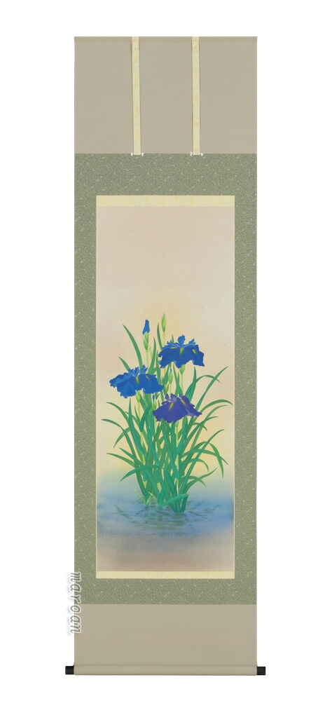 花鳥画 掛軸 菖蒲（浅井 新明）