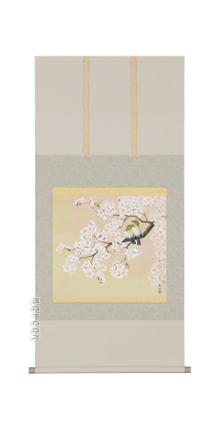 花鳥画 掛軸 桜花（井上清冶）（太巻桐箱入）