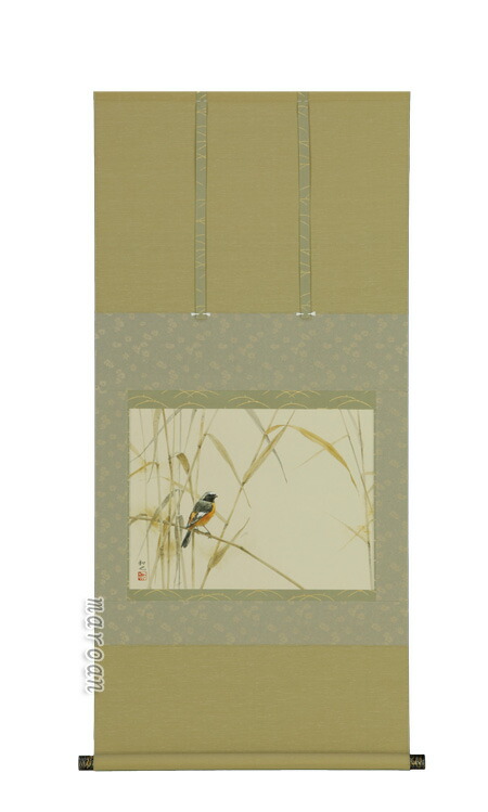 花鳥画 掛軸 尉鶲（小川 和也）（尺八横）(太巻き桐箱入）