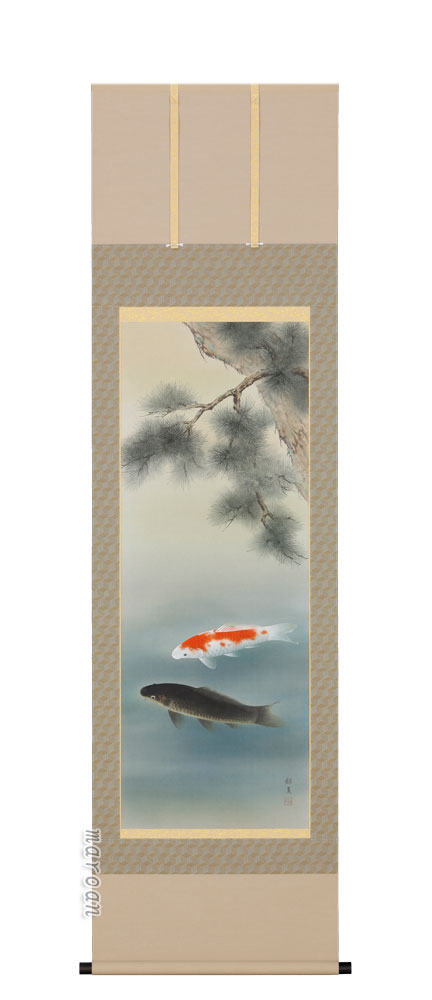 鯉・夫婦鯉 掛軸 遊鯉（橋本紹真）（太巻桐箱入）