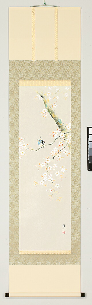 花鳥画 掛け軸 桜に小禽(佐藤 桂三) 春 国花 侘び寂び 御祝 合格祝 入学祝 就職祝