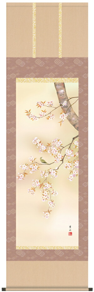 花鳥画 掛軸／かけじく【花鳥画】桜花（緒方 葉水）