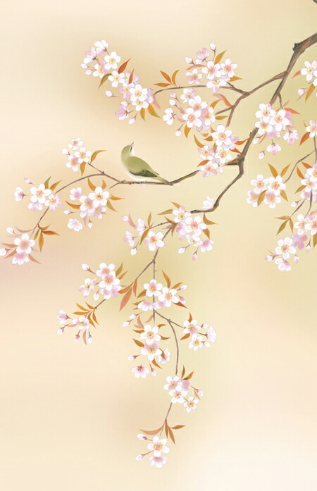 花鳥画 掛軸／かけじく【花鳥画】桜花（緒方 葉水） 商品画像