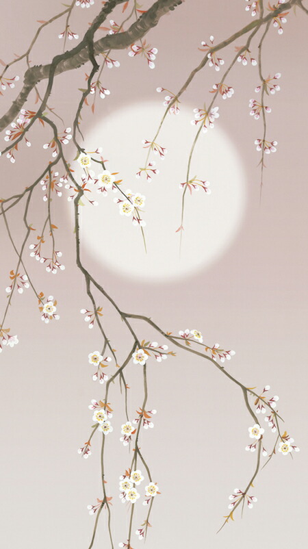 花鳥画 掛軸／かけじく【花鳥画】夜桜（清水 玄澄） 商品画像