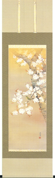 花鳥画 掛け軸 掛軸 桜に小禽(河村 東陽) 春 国花 侘び寂び 御祝 合格祝 入学祝 就職祝