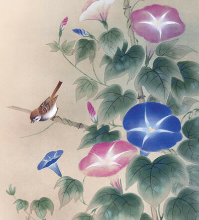 花鳥画 掛け軸(掛軸)【尺三幅】朝顔(高見 蘭石) 商品画像