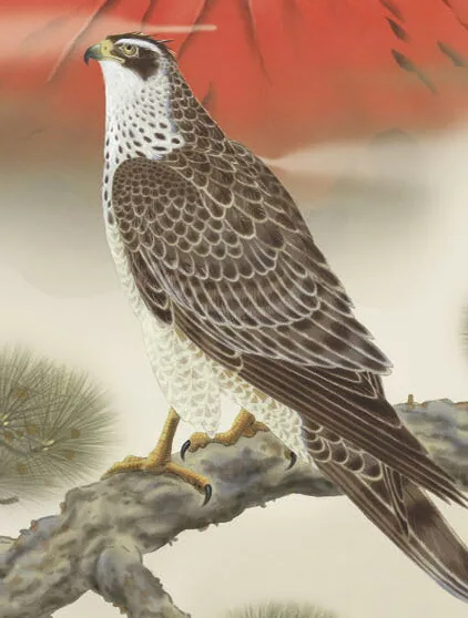 開運画 掛け軸 (掛軸)【尺三幅】一富士二鷹三茄子(井原蒼竹) 商品画像
