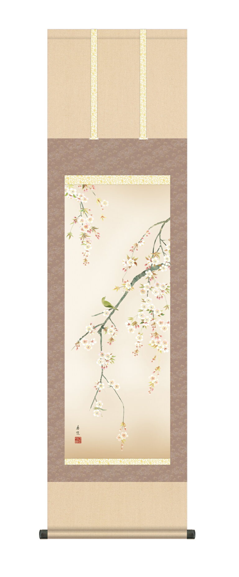 花鳥画 掛け軸 掛軸 【尺三幅】【花鳥画】桜花（西尾 香悦）