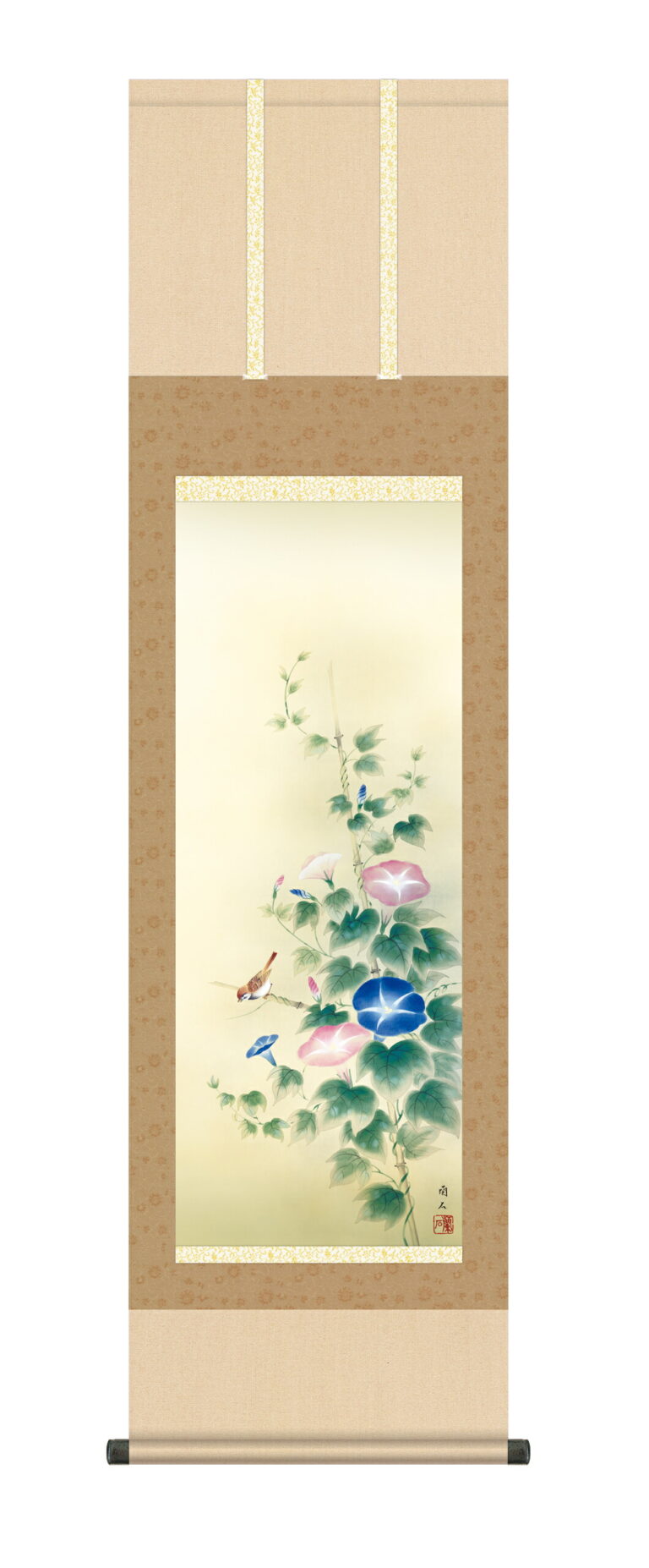 花鳥画 掛け軸(掛軸)【尺三幅】朝顔(高見 蘭石)