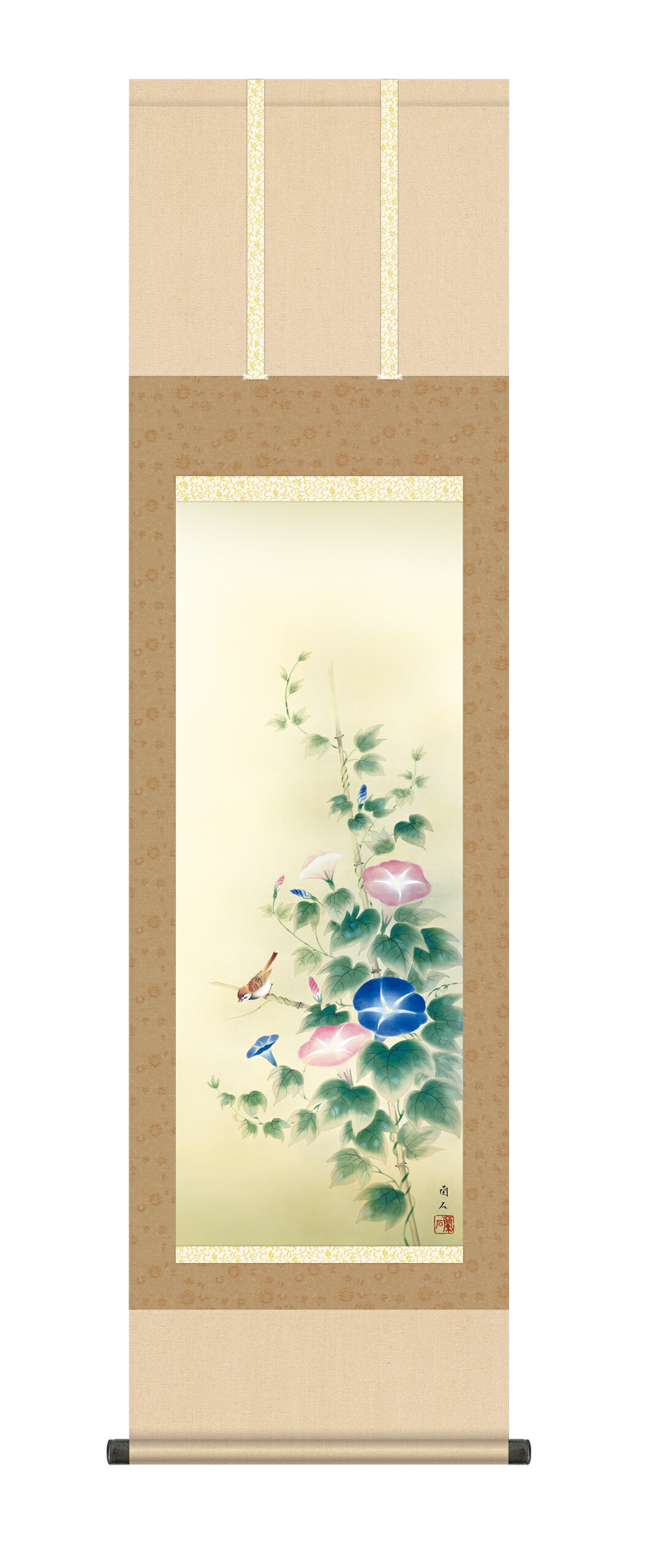 花鳥画 掛け軸(掛軸)【尺三幅】朝顔(高見 蘭石) 商品画像