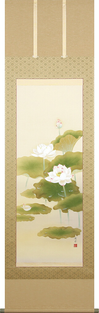 花鳥画 掛け軸 蓮心(鈴木優莉) 太巻箱収納 蓮 肉筆 夏