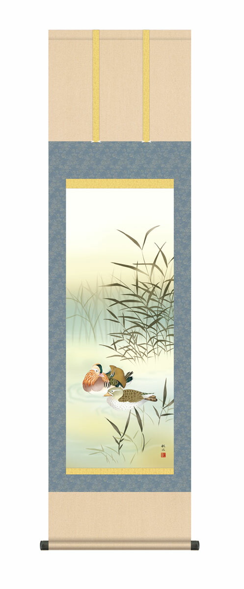 花鳥画 掛け軸 掛軸 かけじく 花鳥画鴛鴦（浮田 秋水）【尺三】尺三 高さ164×幅44.5cm 床の間… 商品画像