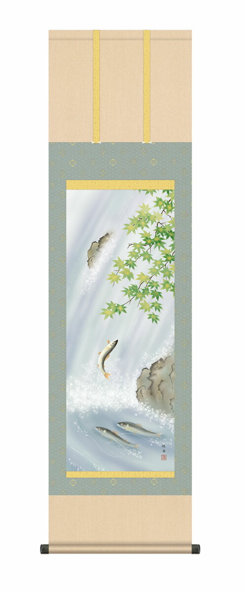 花鳥画 掛け軸 (掛軸)【尺三幅】楓に鮎(長江桂舟) 夏 あゆ 楓 商品画像