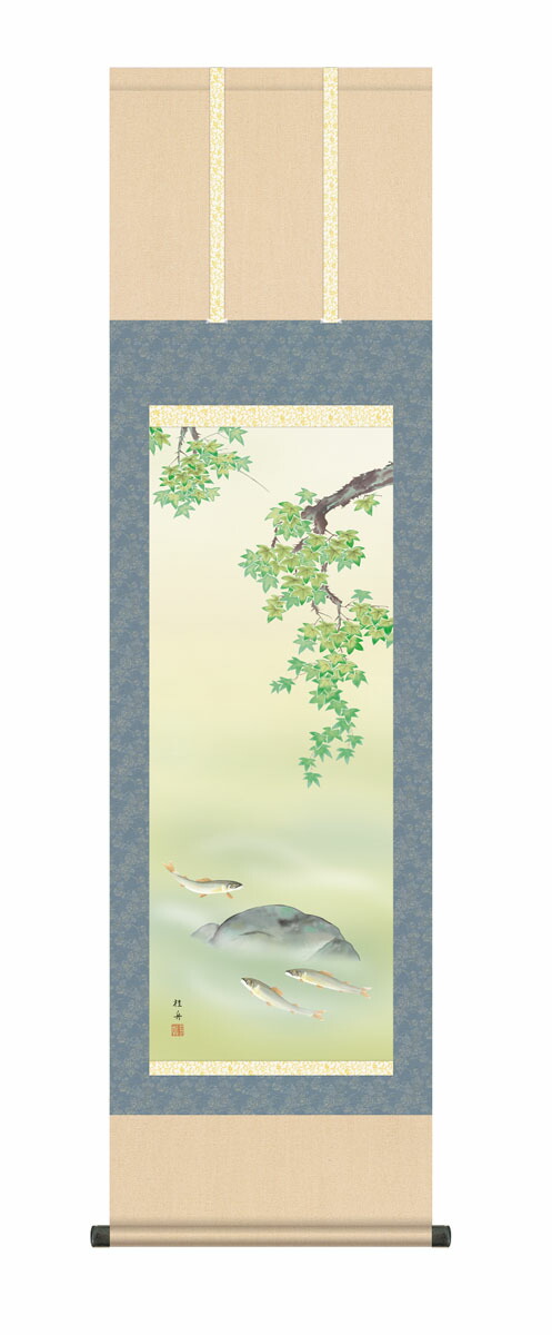 花鳥画 掛け軸 (掛軸)【尺三幅】楓に鮎(長江桂舟) 夏 あゆ 楓 商品画像