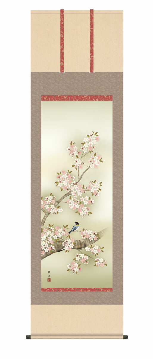 花鳥画 掛け軸 掛軸 かけじく【花鳥画】桜花に小鳥（長江 桂舟）尺五 高さ190×幅54.5cm 春掛け…