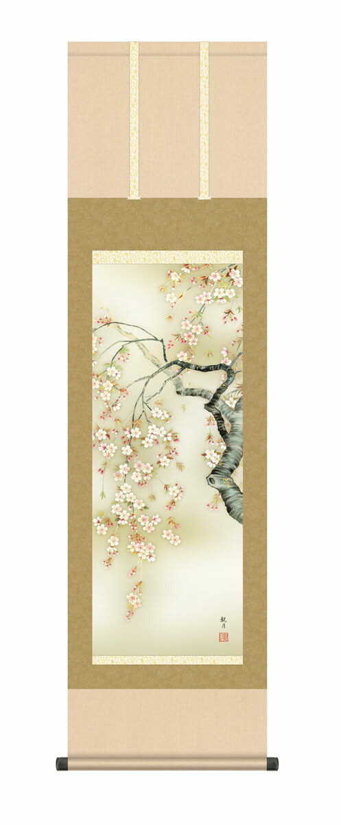 花鳥画 掛軸【春の花鳥画】【尺三】桜花爛漫（森山 観月） 春掛け 春飾り 桜 鳥 床の間 和室 モダン … 商品画像
