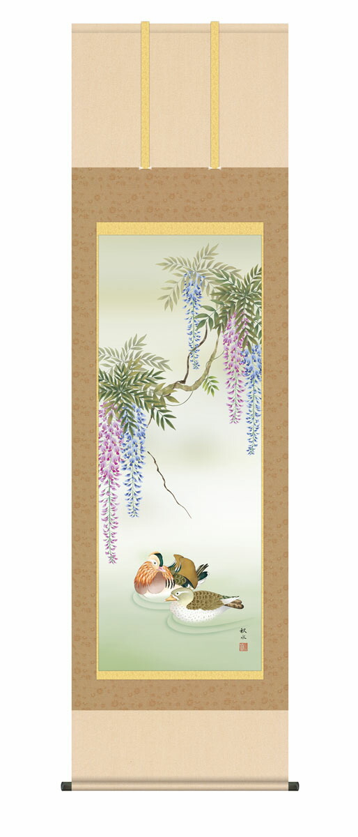 花鳥画 掛け軸 掛軸 かけじく 花鳥画藤花に鴛鴦（浮田 秋水） 春掛け 春飾り 藤 藤花 藤色 床の間 …