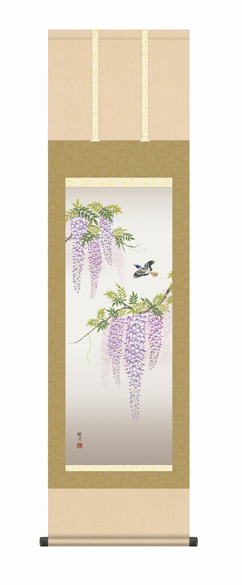 花鳥画 掛軸【春の花鳥画】【尺三】藤花に小鳥（森山 観月） 春掛け 春飾り 藤 藤花 藤色 床の間 和室… 商品画像