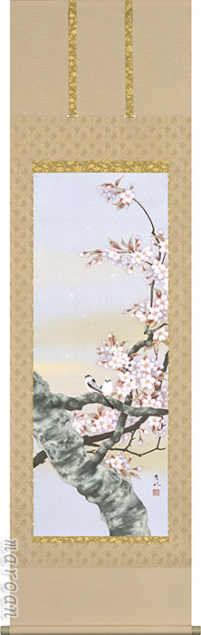 花鳥画 期間限定 厳選お買い得掛け軸掛け軸／掛軸 桜に小禽（神田 有記）