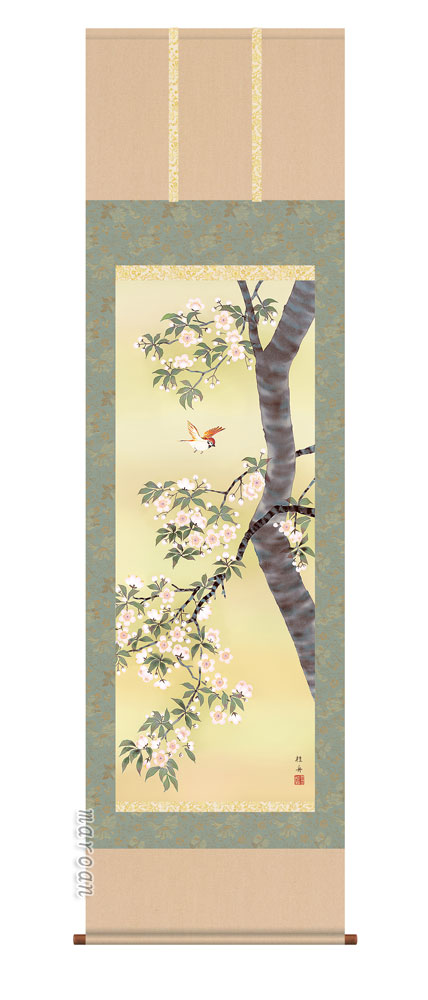 花鳥画 掛軸／かけじく【花鳥画】桜花（長江 桂舟）