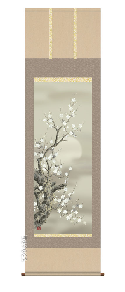 花鳥画 掛軸【花鳥/尺五】朧月白梅（宇崎 洋山）