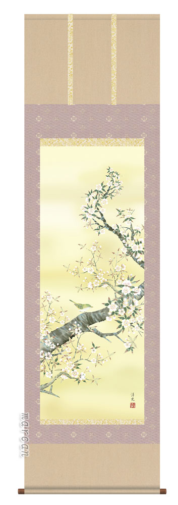 花鳥画 掛軸／かけじく【花鳥画】桜花（井川 洋光）