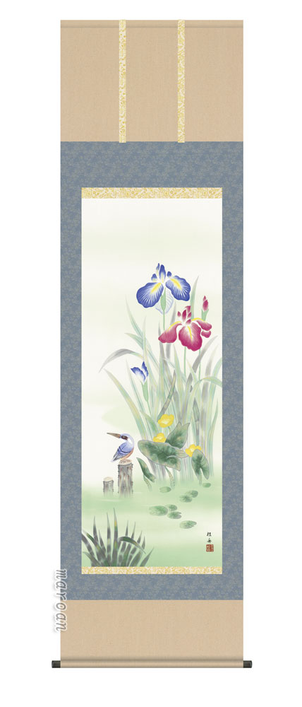 花鳥画 掛軸【花鳥/尺五】菖蒲にかわせみ（長江 桂舟）