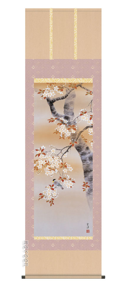 花鳥画 掛軸【四季揃・春】四季花鳥・桜花に小鳥（近藤 玄洋）