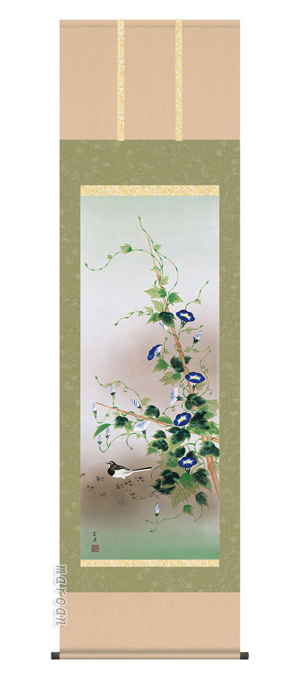 花鳥画 掛軸【四季揃・夏】四季花鳥・朝顔に鶺鴒（近藤 玄洋）
