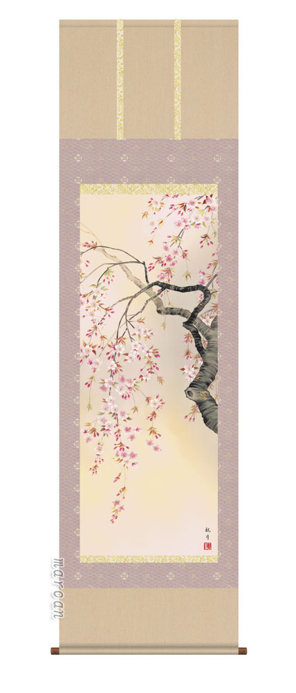 花鳥画 掛軸【春】桜花爛漫（森山 観月）