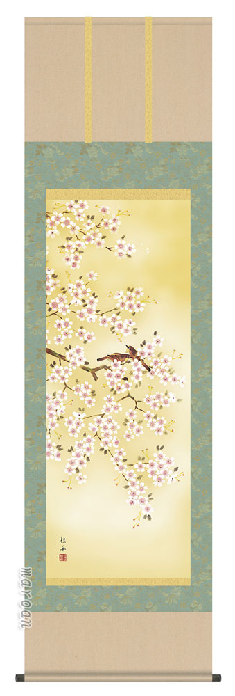 花鳥画 掛軸【四季揃・春】四季花鳥・桜花（長江 桂舟）