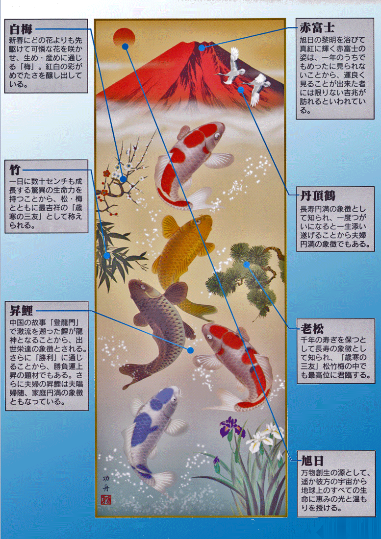 鯉・夫婦鯉 掛軸【開運】紅峰五鯉躍勝運図（瀬田 功舟） 商品画像