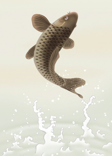 端午の節句 掛け軸(掛軸)【尺幅】跳鯉（唐沢 碧山） 商品画像