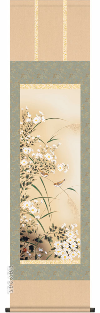 花鳥画 掛け軸 掛軸 かけじく 花鳥画菊花に雀（緒方 葉水）【尺三】 商品画像